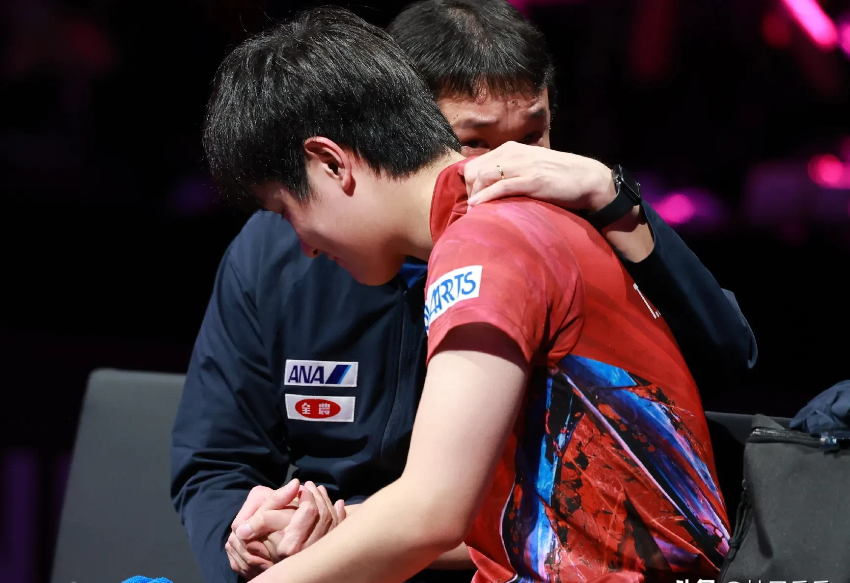 包含英格兰队完胜波兰队，张本智和扛起全队的词条