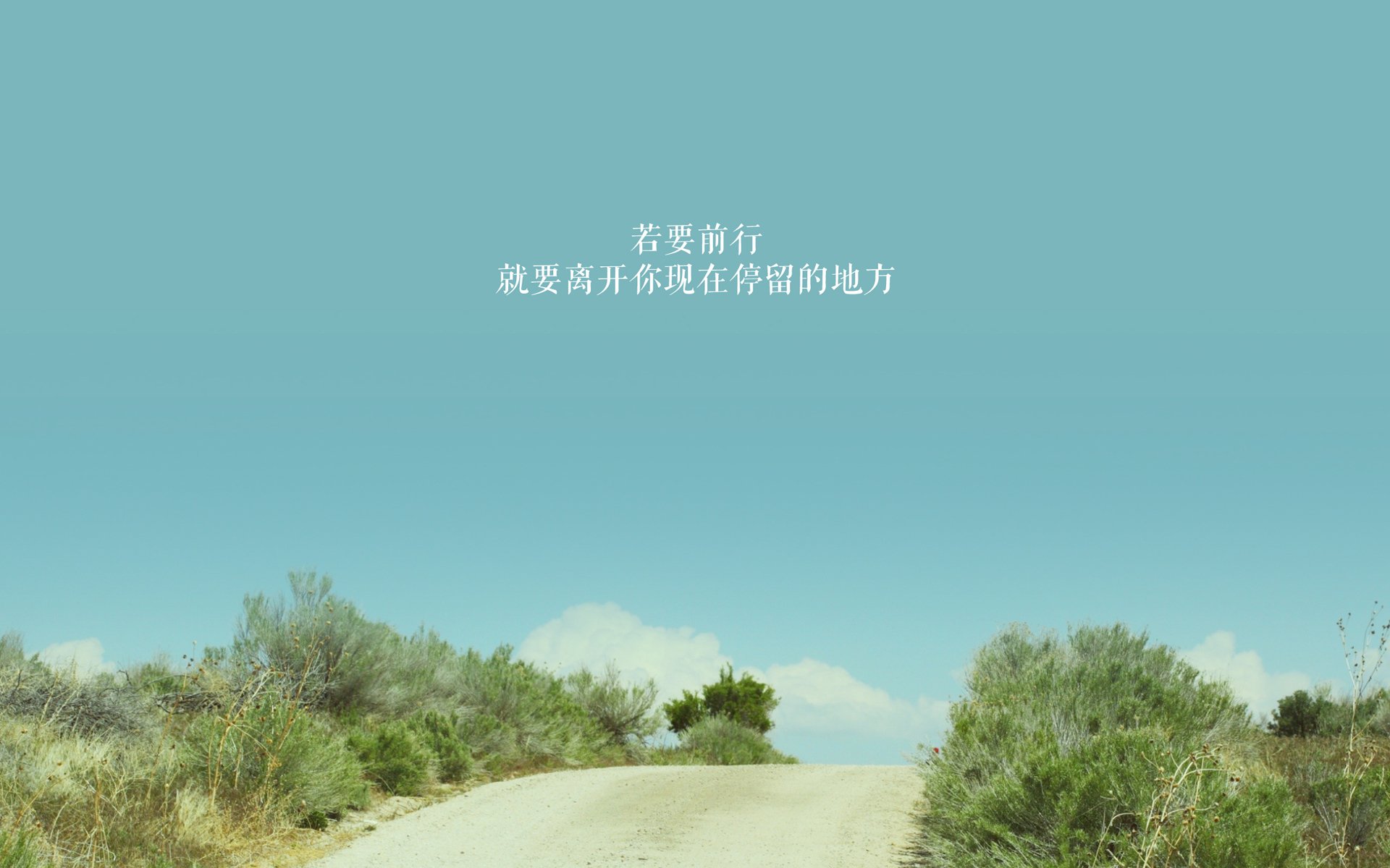 步行者一波流席卷森林狼，武切维奇末节封神定乾坤